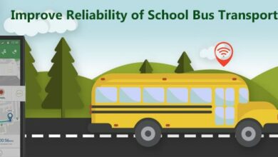 school bus transportation